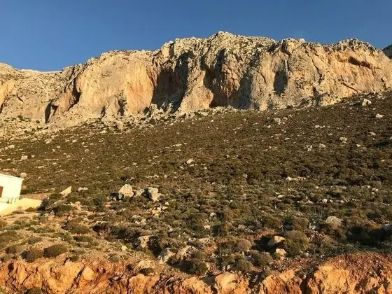Ev, Birden Çok Yatak