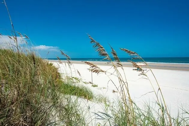 Daire (Grandma's Rest East)