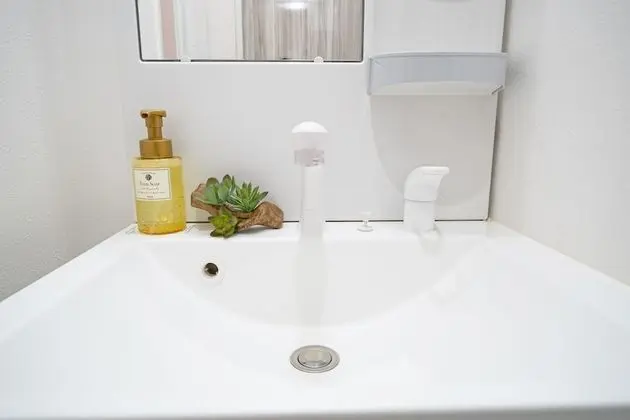 Superior Apart Daire, 1 Yatak Odası, Sigara İçilmez, Mutfak