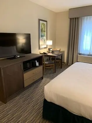 Standard Oda, 1 En Büyük (King) Boy Yatak (Single King)