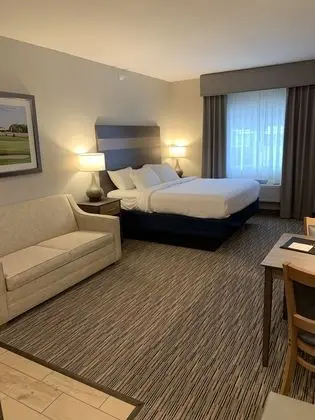 Süit, 1 En Büyük (King) Boy Yatak ve Çekyat (Extended Stay Studio)