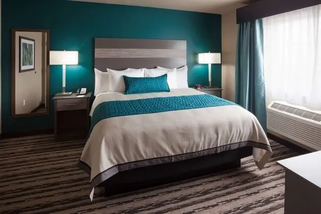 Deluxe King Suite