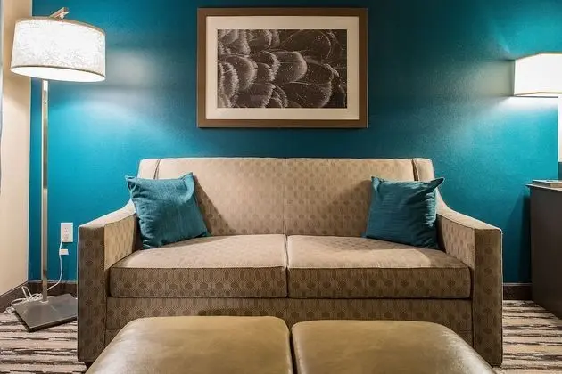 Deluxe King Suite
