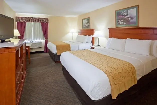 Deluxe Oda, 2 Çift Kişilik Yatak (Non-Accessible)