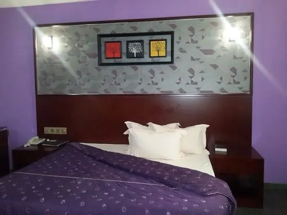 Superior Oda, 1 Tek Kişilik Yatak, Buzdolabı, Şehir Manzaralı
