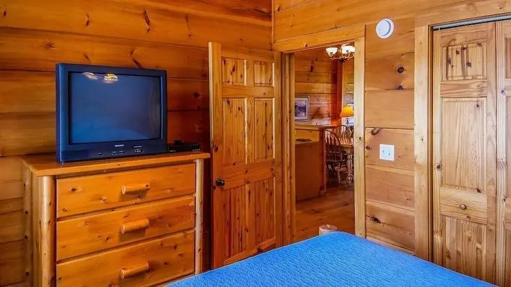Bring the Cats and the Kids Room