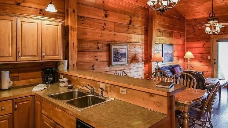 Bring the Cats and the Kids Room
