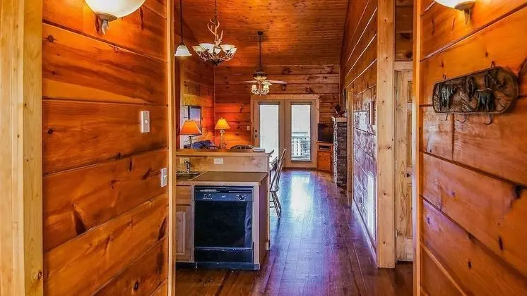 Bring the Cats and the Kids Room