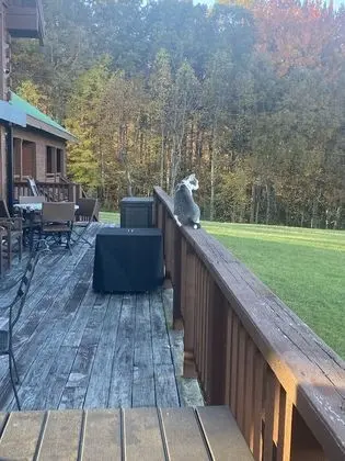 Country Room