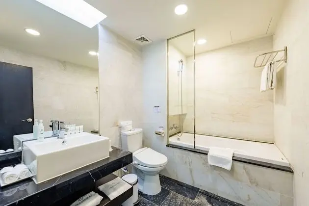 Superior Tek Büyük veya İki Ayrı Yataklı Oda, Küvet (Onsen bath service included)