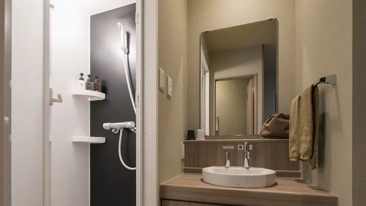 Tek Büyük Yataklı Oda, Sigara İçilmez, Dağ Manzaralı (Shower  booth)