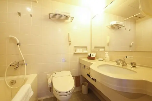 Standard Tek Büyük Yataklı Oda, Sigara İçilebilir, Şehir Manzaralı