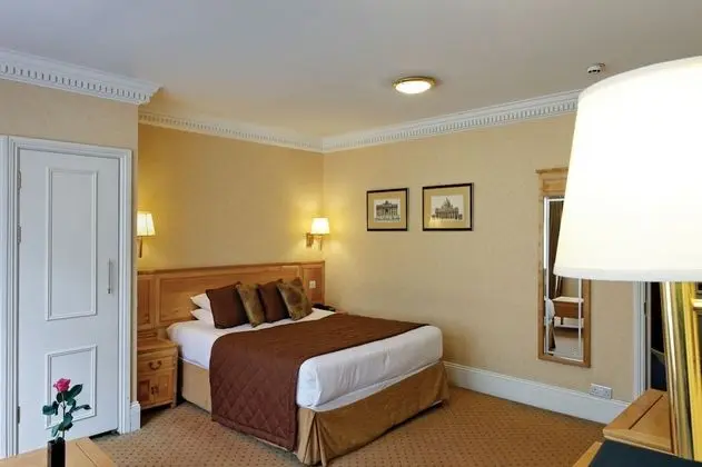 Deluxe Studio with Kitchenette