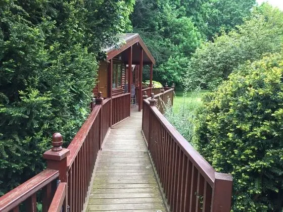 Log Cabin, Accessible Double