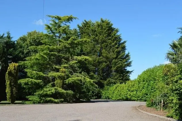 Basic Tek Büyük Yataklı Oda