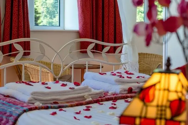 Executive Tek Büyük Yataklı Oda