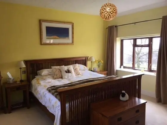 Tek Büyük Yataklı Oda (Sunshine)