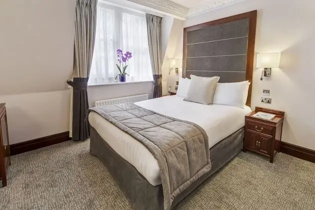 Executive Tek Büyük Yataklı Oda