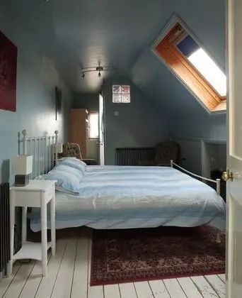 Tek Büyük Yataklı Oda, Banyolu/Duşlu (Room1)