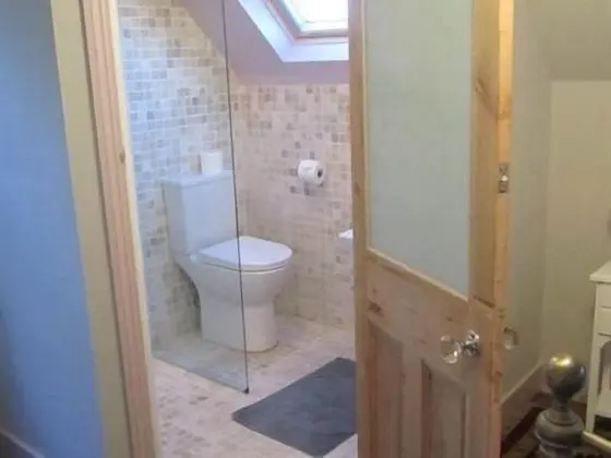 Tek Büyük Yataklı Oda, Banyolu/Duşlu (Room2)