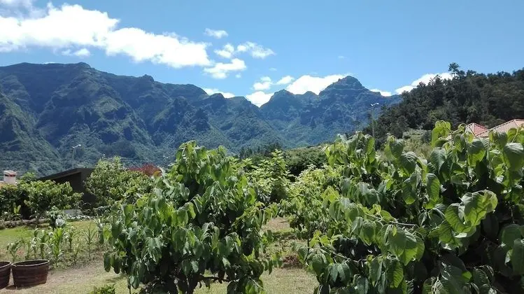 Kır Evi, 1 Yatak Odası, Bahçe Manzaralı (A)