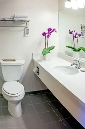 Deluxe Oda, 1 Büyük (Queen) Boy Yatak