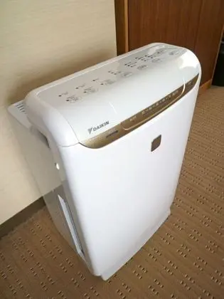 Üç Kişilik Oda, 3 Yatak Odası, Sigara İçilmez, Şehir Manzaralı