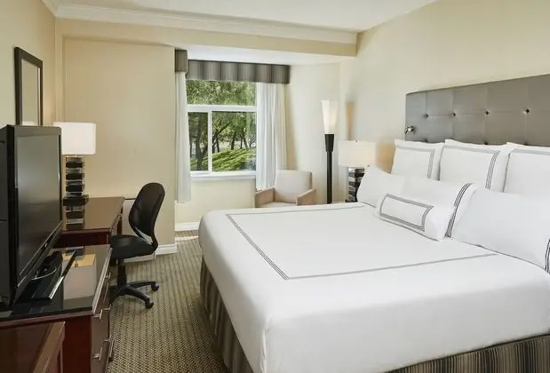 Standard Oda, 1 En Büyük (King) Boy Yatak