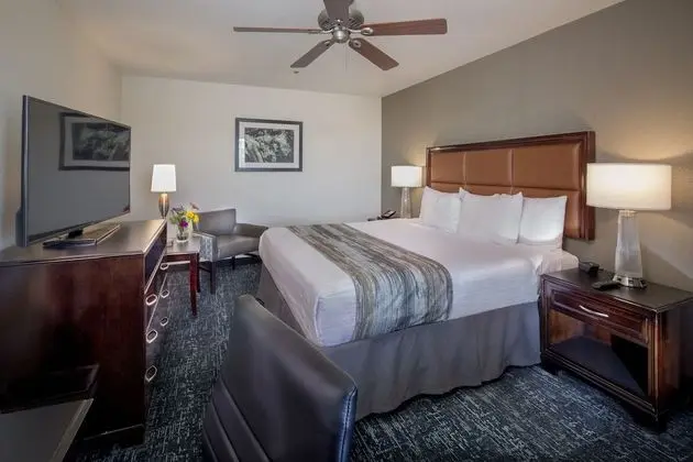 Standard Oda, 1 En Büyük (King) Boy Yatak, Sigara İçilmez