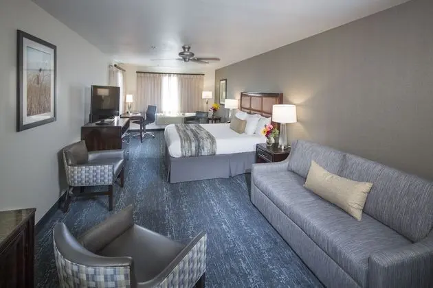 Standard Oda, 1 En Büyük (King) Boy Yatak, Sigara İçilmez