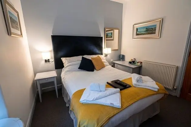Tek Büyük Yataklı Oda, Banyolu/Duşlu ((Room 3))