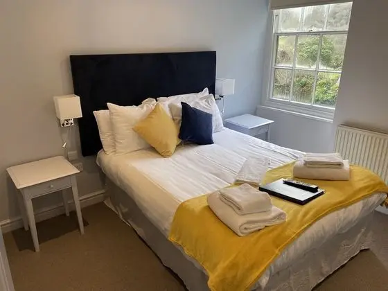 Tek Büyük Yataklı Oda, Banyolu/Duşlu ((Room 4))