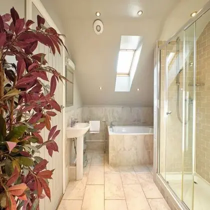 Luxury Stüdyo Süit