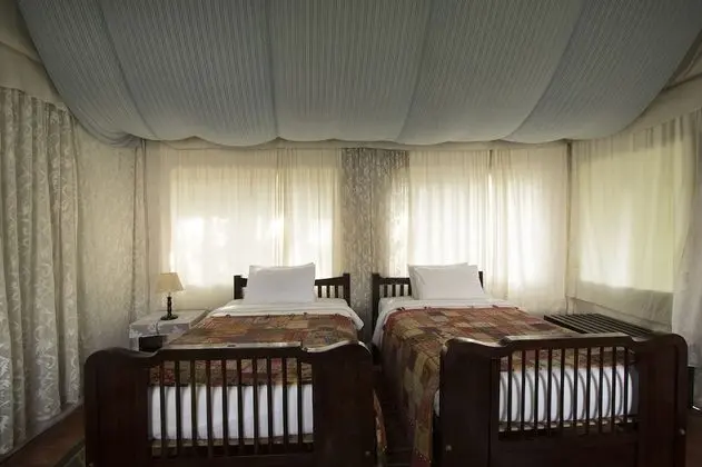 Luxury Çadır