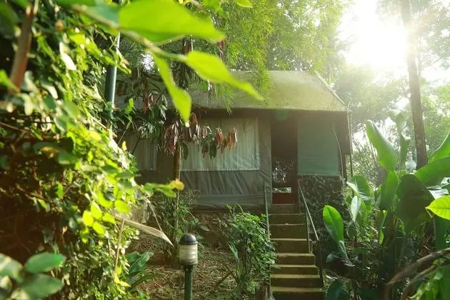 Luxury Çadır