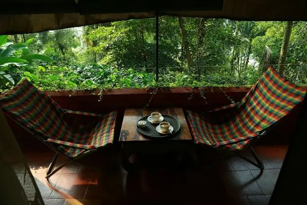 Luxury Çadır