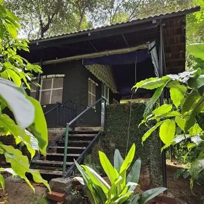 Luxury Çadır