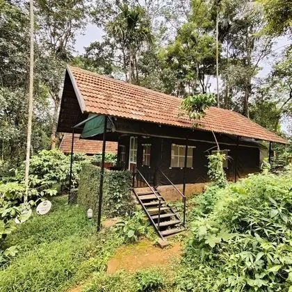 Luxury Çadır