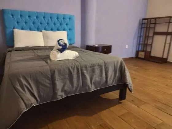 Basic Stüdyo