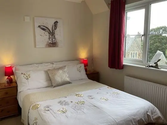 Comfort Tek Büyük Yataklı Oda, 1 Çift Kişilik Yatak, Sigara İçilmez