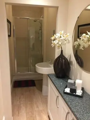 Deluxe Apart Daire, 1 En Büyük (King) Boy Yatak, Mutfak, Şehir Manzaralı
