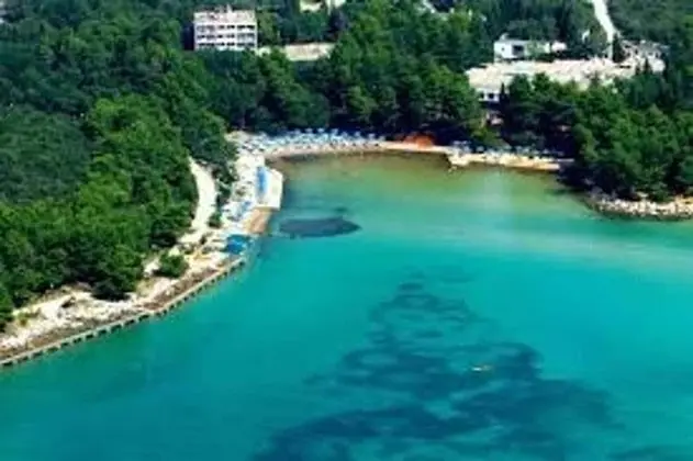 Apart Daire, 1 Yatak Odası, Teras