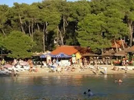 Apart Daire, 1 Yatak Odası, Teras