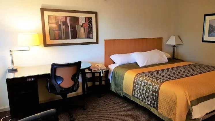 Standard Tek Kişilik Oda, Sigara İçilmez