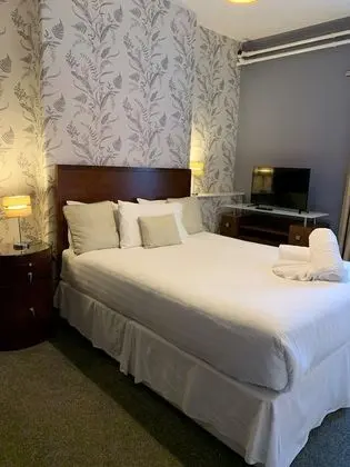 Standard Tek Büyük Yataklı Oda, 1 En Büyük (King) Boy Yatak, Sigara İçilmez