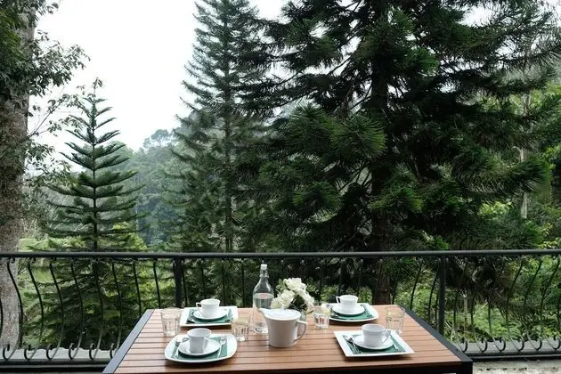 Comfort Villa, 5 Yatak Odası