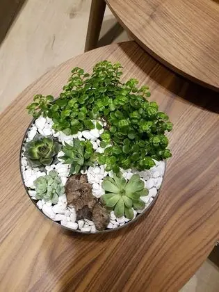 Apart Daire, 2 Yatak Odası, Küvet (Tree - Koscielna 33)