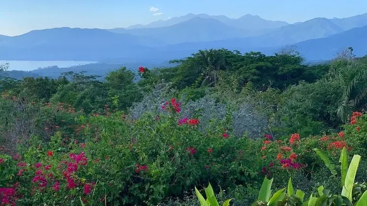 Superior Tek Büyük veya İki Ayrı Yataklı Oda, 1 Yatak Odası, Balkon, Okyanus Manzaralı (Mango)
