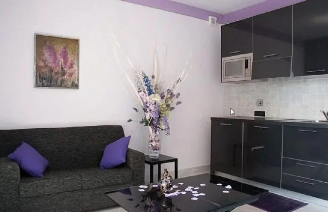 Apart Daire, 1 Yatak Odası