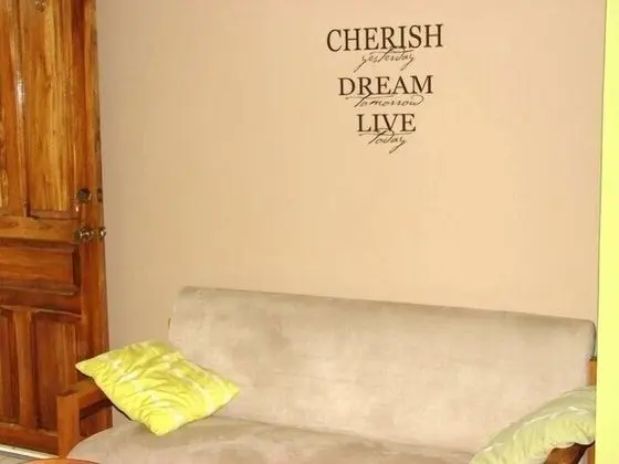 Green Forest Studio No 08